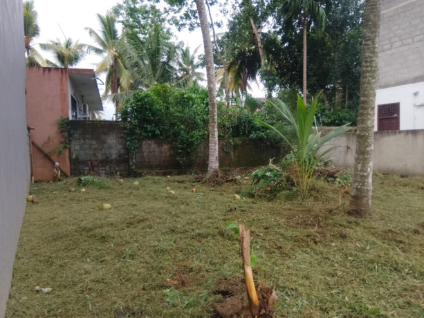 land-for-sale-in-kottawa-big-2
