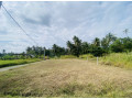 1285-p-land-for-quick-sale-small-2