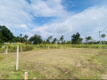 1285-p-land-for-quick-sale-small-1