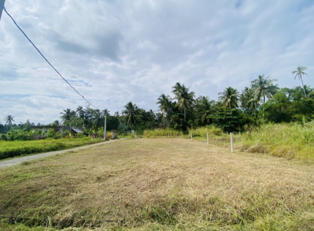 1285-p-land-for-quick-sale-big-2