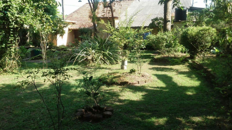 colonial-house-for-sale-weligama-big-3