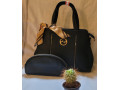 ladies-handbag-small-1