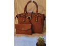 ladies-handbag-small-0