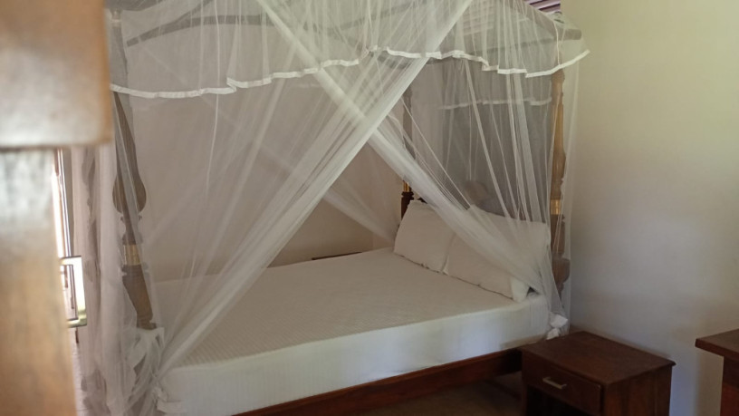 antoq-teak-beds-big-1