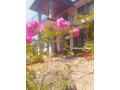 house-for-sale-in-beautiful-nuwaraeliya-small-1