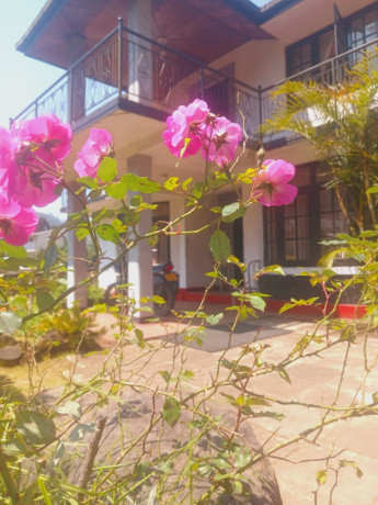 house-for-sale-in-beautiful-nuwaraeliya-big-1